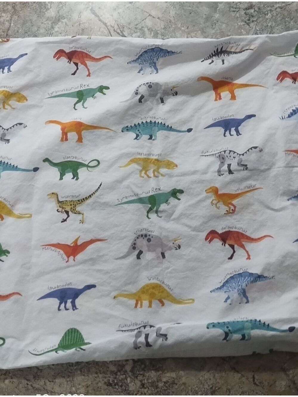 Pottery Barn Dinosaur Standard Pillowcase Organic Cotton Dino